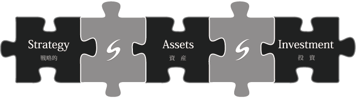 Strategy Assets Investment